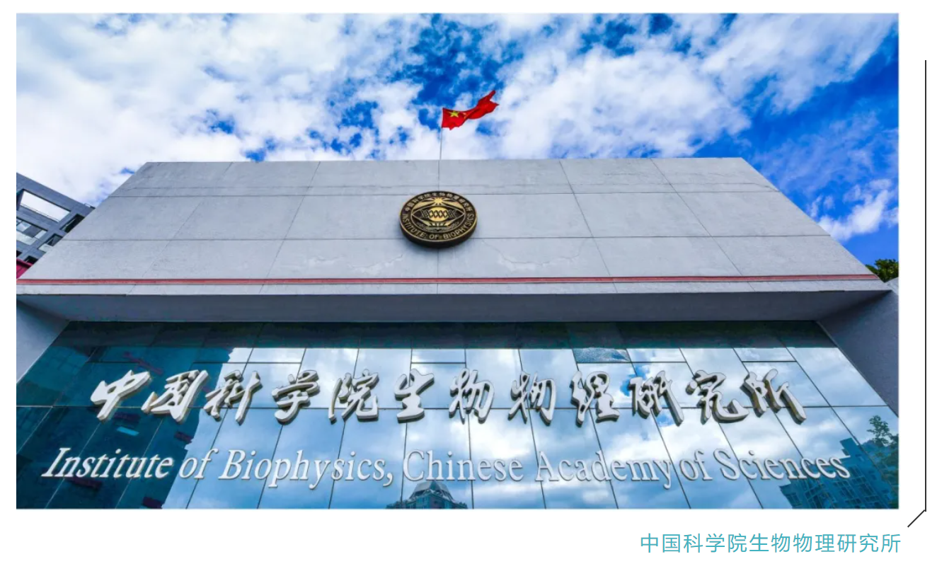 1629101123351526.png 1.png