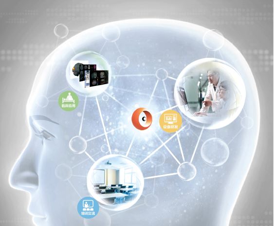 1676347559357723.jpg 大腦圖.jpg