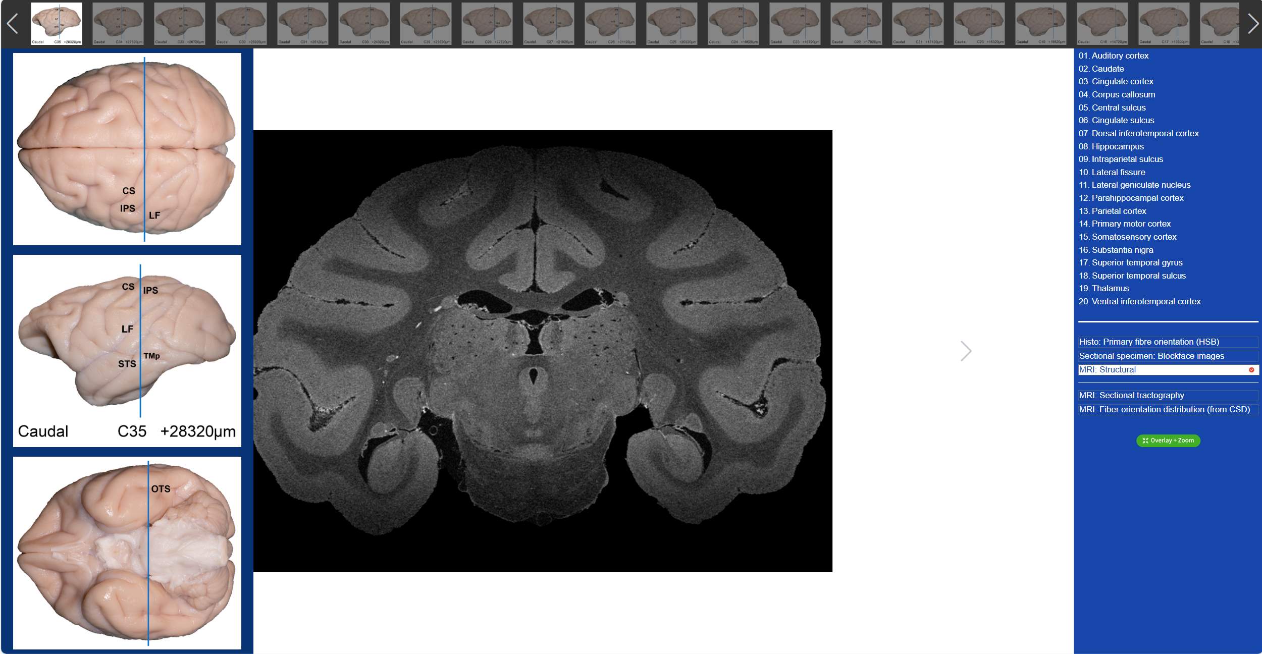 1720497049160508.jpg 微信圖片_20240709092600.jpg