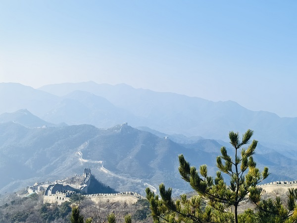 1733189846102209.jpg 長城.jpg